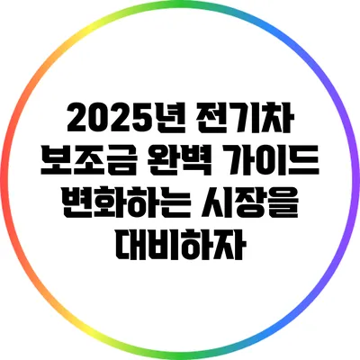 2025년 전기차 보조금 완벽 가이드: 변화하는 시장을 대비하자