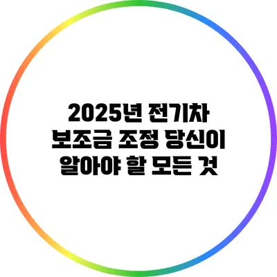 2025년 전기차 보조금 조정: 당신이 알아야 할 모든 것