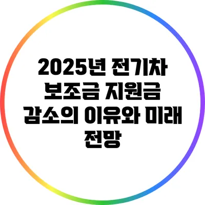 2025년 전기차 보조금 지원금 감소의 이유와 미래 전망