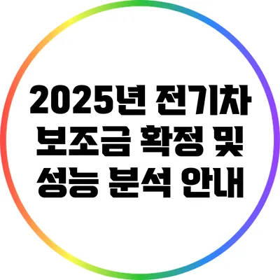 2025년 전기차 보조금 확정 및 성능 분석 안내