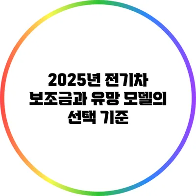 2025년 전기차 보조금과 유망 모델의 선택 기준