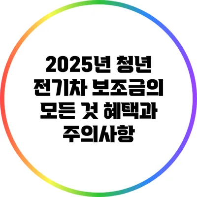 2025년 청년 전기차 보조금의 모든 것: 혜택과 주의사항