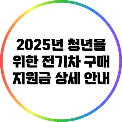 2025년 청년을 위한 전기차 구매 지원금 상세 안내