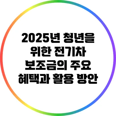 2025년 청년을 위한 전기차 보조금의 주요 혜택과 활용 방안