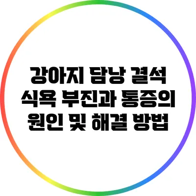 강아지 담낭 결석: 식욕 부진과 통증의 원인 및 해결 방법