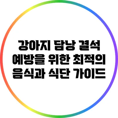 강아지 담낭 결석 예방을 위한 최적의 음식과 식단 가이드