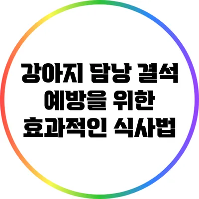 강아지 담낭 결석 예방을 위한 효과적인 식사법