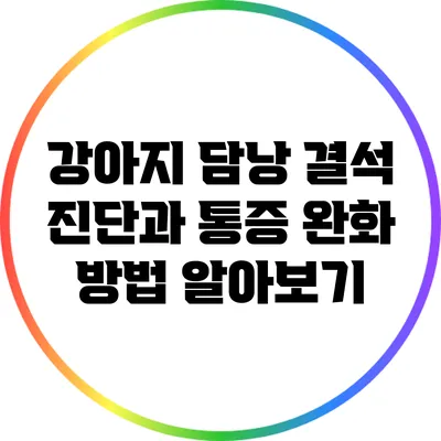 강아지 담낭 결석: 진단과 통증 완화 방법 알아보기