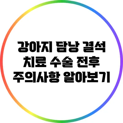 강아지 담낭 결석 치료: 수술 전후 주의사항 알아보기