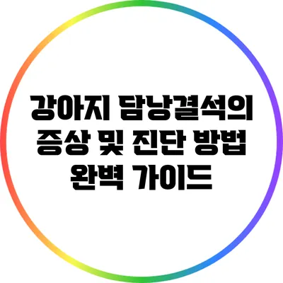 강아지 담낭결석의 증상 및 진단 방법 완벽 가이드