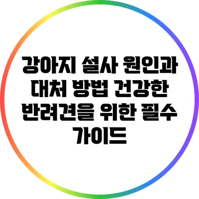 강아지 설사 원인과 대처 방법: 건강한 반려견을 위한 필수 가이드
