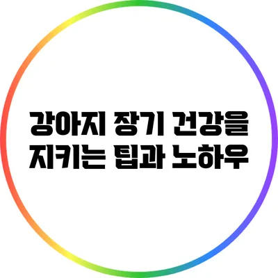 강아지 장기 건강을 지키는 팁과 노하우