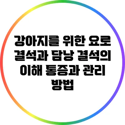 강아지를 위한 요로 결석과 담낭 결석의 이해: 통증과 관리 방법