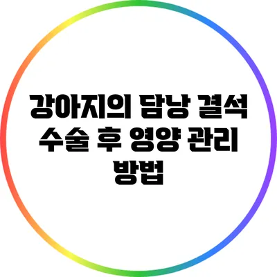 강아지의 담낭 결석 수술 후 영양 관리 방법