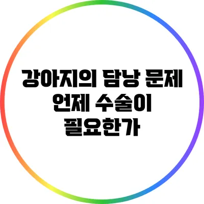 강아지의 담낭 문제: 언제 수술이 필요한가?
