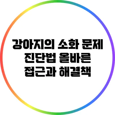 강아지의 소화 문제 진단법: 올바른 접근과 해결책