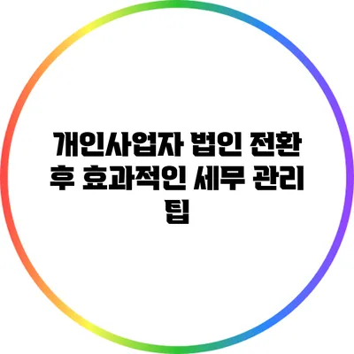 개인사업자 법인 전환 후 효과적인 세무 관리 팁