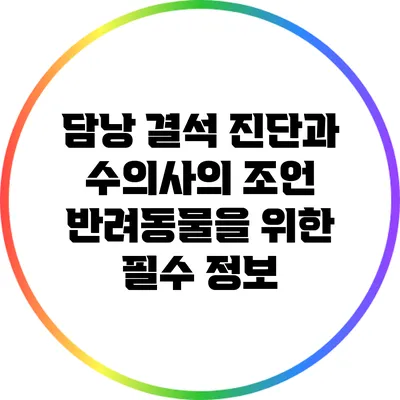 담낭 결석 진단과 수의사의 조언: 반려동물을 위한 필수 정보