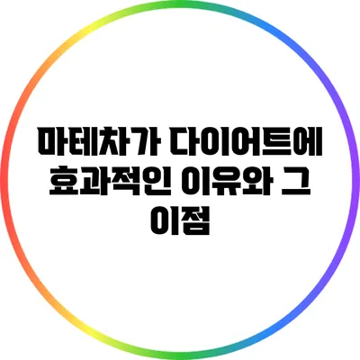 마테차가 다이어트에 효과적인 이유와 그 이점