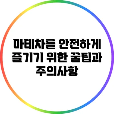 마테차를 안전하게 즐기기 위한 꿀팁과 주의사항