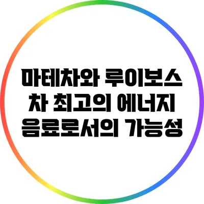 마테차와 루이보스 차: 최고의 에너지 음료로서의 가능성