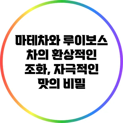 마테차와 루이보스 차의 환상적인 조화, 자극적인 맛의 비밀