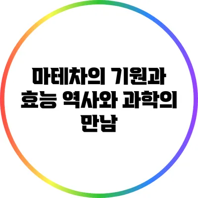 마테차의 기원과 효능: 역사와 과학의 만남