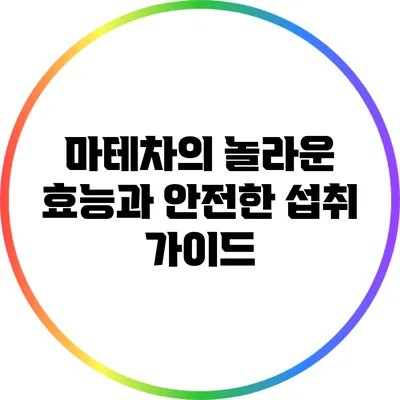 마테차의 놀라운 효능과 안전한 섭취 가이드