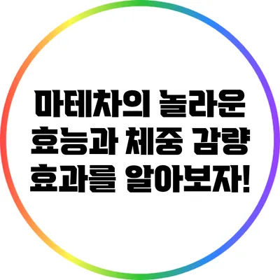 마테차의 놀라운 효능과 체중 감량 효과를 알아보자!