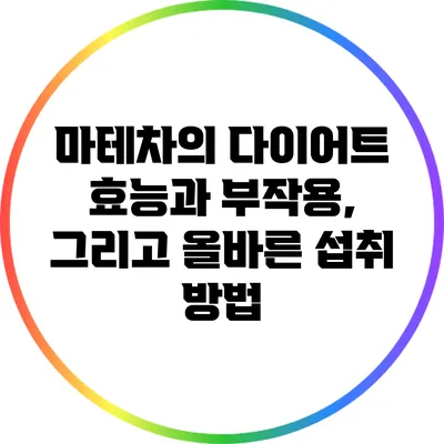 마테차의 다이어트 효능과 부작용, 그리고 올바른 섭취 방법
