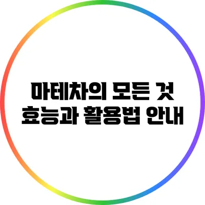 마테차의 모든 것: 효능과 활용법 안내