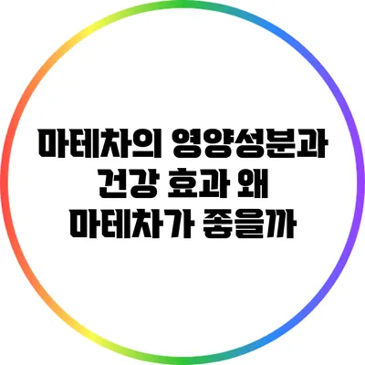 마테차의 영양성분과 건강 효과: 왜 마테차가 좋을까?
