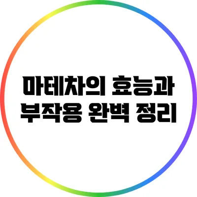 마테차의 효능과 부작용 완벽 정리