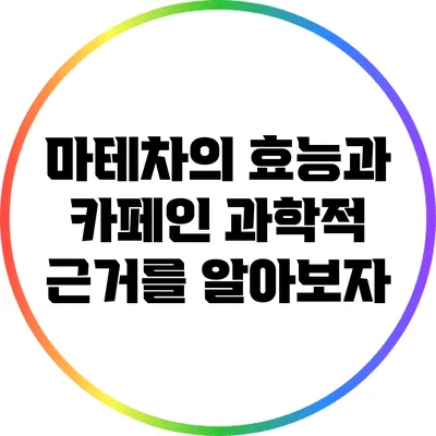 마테차의 효능과 카페인: 과학적 근거를 알아보자