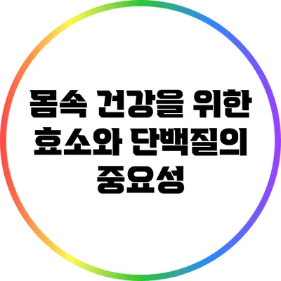 몸속 건강을 위한 효소와 단백질의 중요성