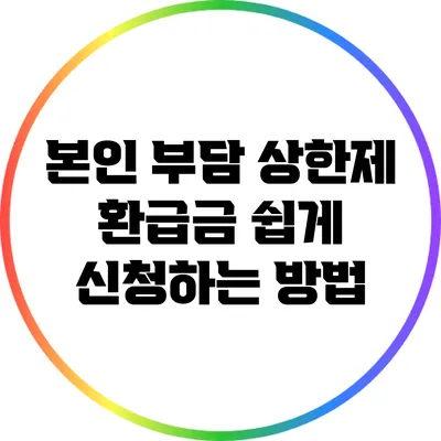 본인 부담 상한제 환급금 쉽게 신청하는 방법