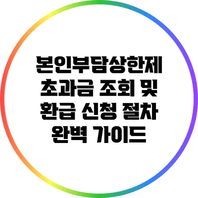 본인부담상한제 초과금 조회 및 환급 신청 절차 완벽 가이드