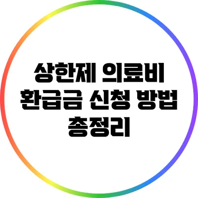상한제 의료비 환급금 신청 방법 총정리