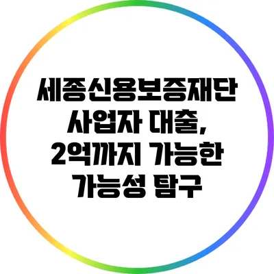 세종신용보증재단 사업자 대출, 2억까지 가능한 가능성 탐구