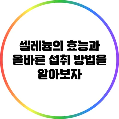 셀레늄의 효능과 올바른 섭취 방법을 알아보자