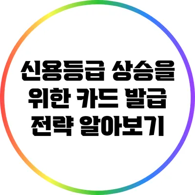 신용등급 상승을 위한 카드 발급 전략 알아보기