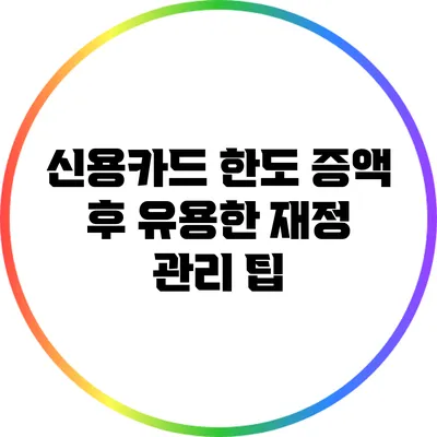 신용카드 한도 증액 후 유용한 재정 관리 팁