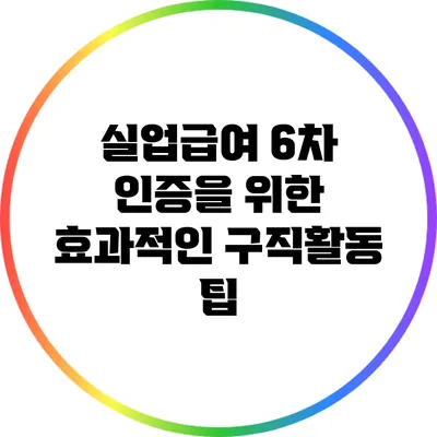 실업급여 6차 인증을 위한 효과적인 구직활동 팁