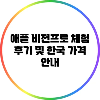 애플 비전프로 체험 후기 및 한국 가격 안내
