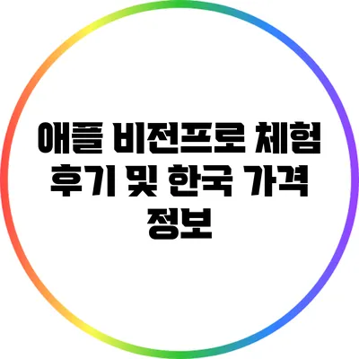 애플 비전프로 체험 후기 및 한국 가격 정보