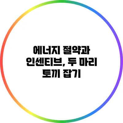 에너지 절약과 인센티브, 두 마리 토끼 잡기