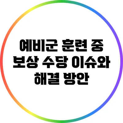 예비군 훈련 중 보상 수당 이슈와 해결 방안