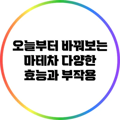 오늘부터 바꿔보는 마테차: 다양한 효능과 부작용