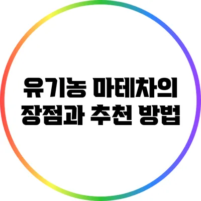 유기농 마테차의 장점과 추천 방법