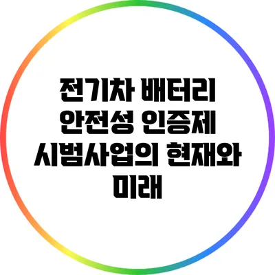 전기차 배터리 안전성 인증제 시범사업의 현재와 미래